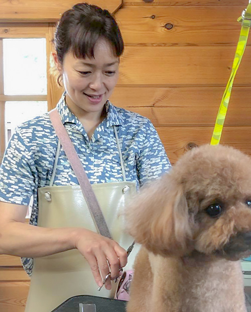 グルーマー 細野 明子