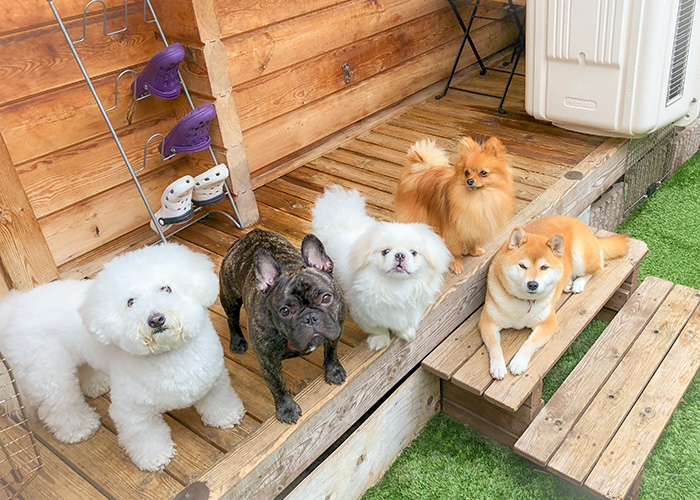 安心・安全管理とトレーニングの二段構え