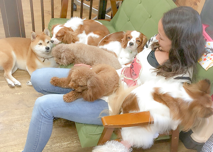 ホテル専門のケアスタッフを配置