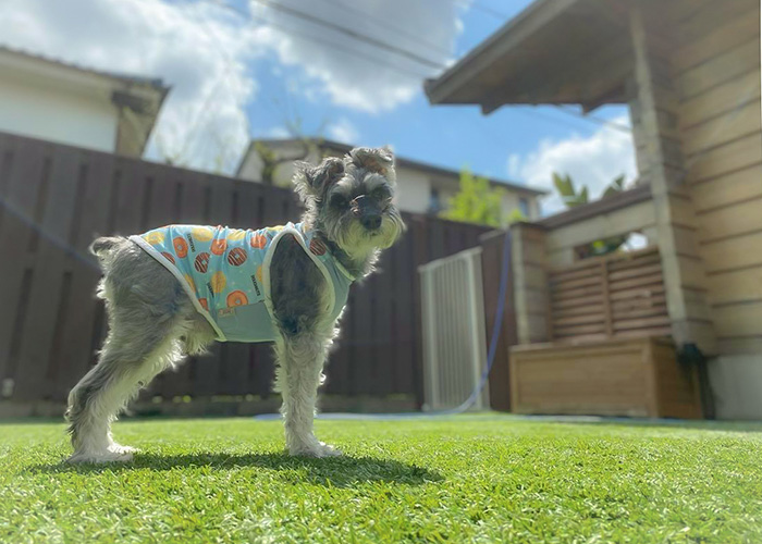 過ごしやすさと安全を重視した環境