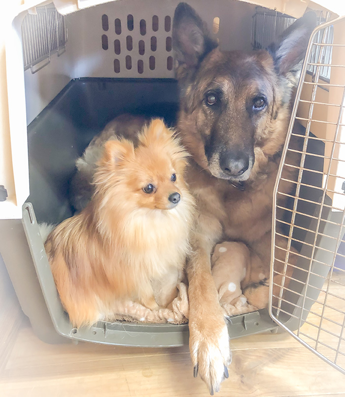 安心・安全管理とトレーニングの二段構え